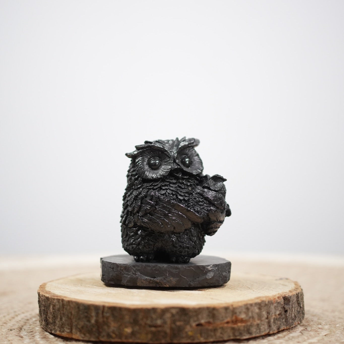 Shungite Owl Figurine