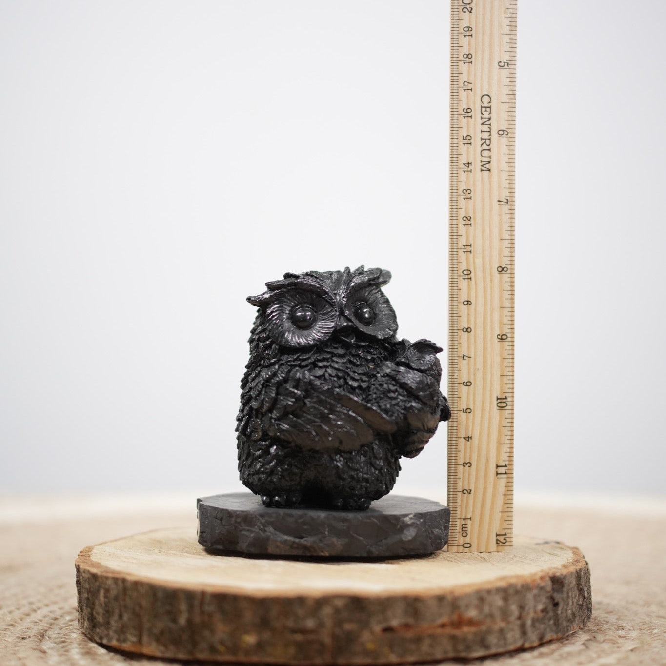 Shungite Owl Figurine