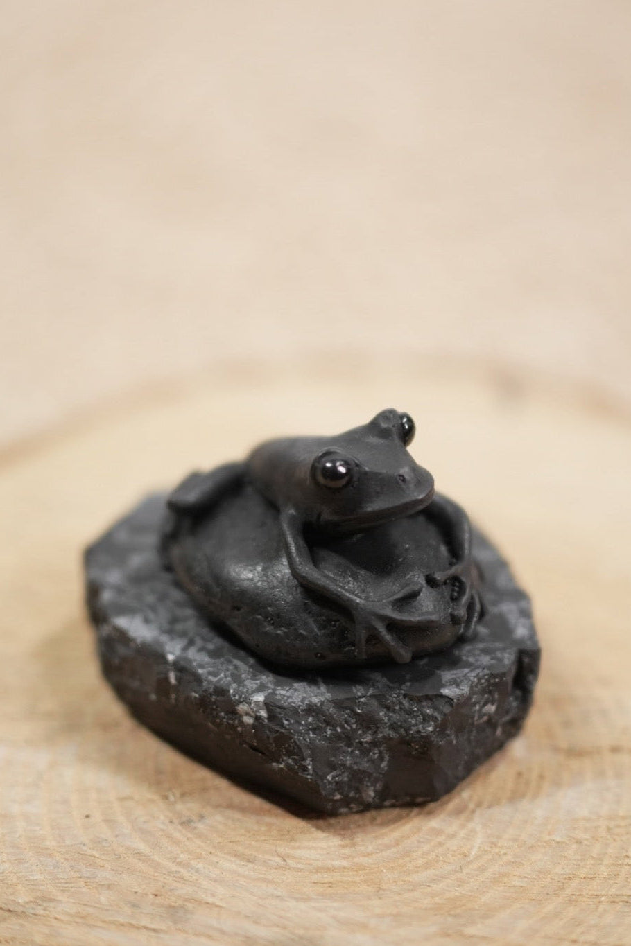 Shungite Frog Money Figurine
