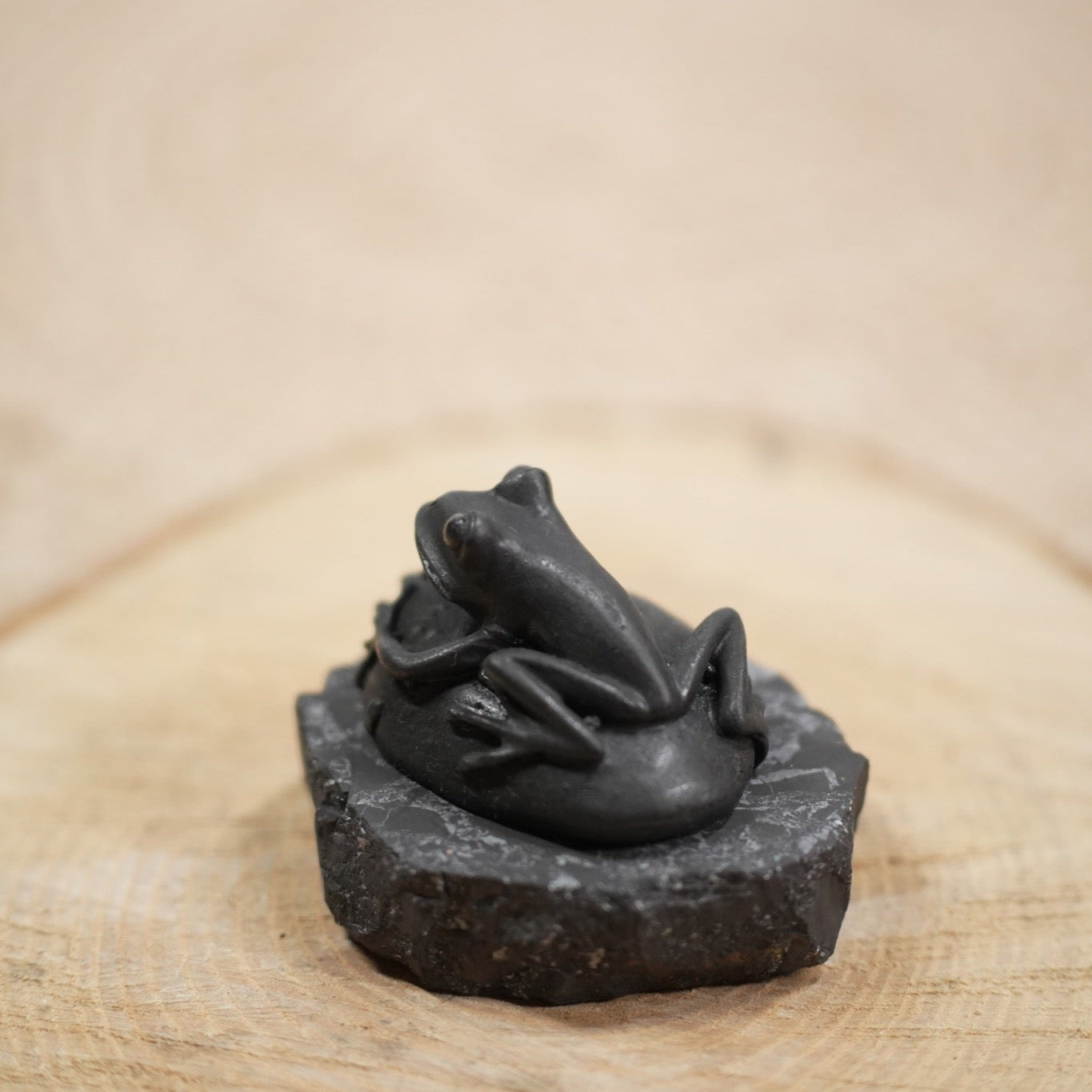 Shungite Frog Money Figurine
