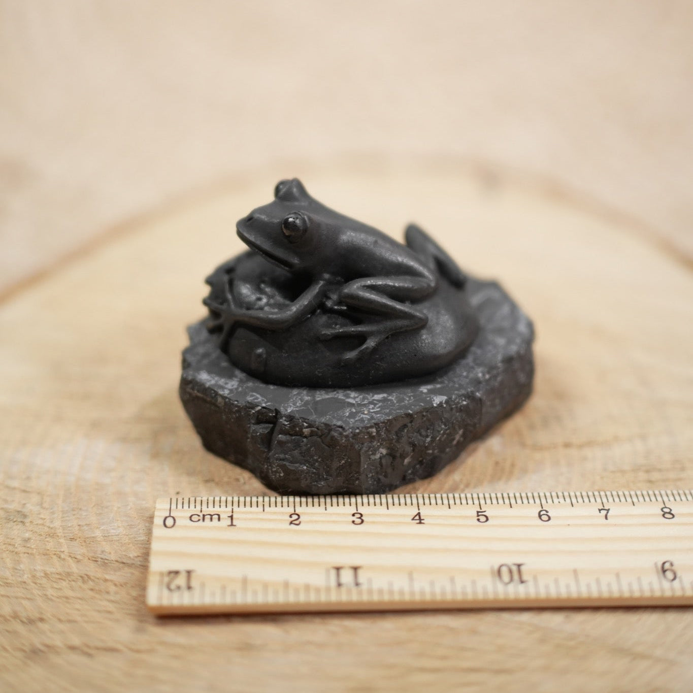 Shungite Frog Money Figurine