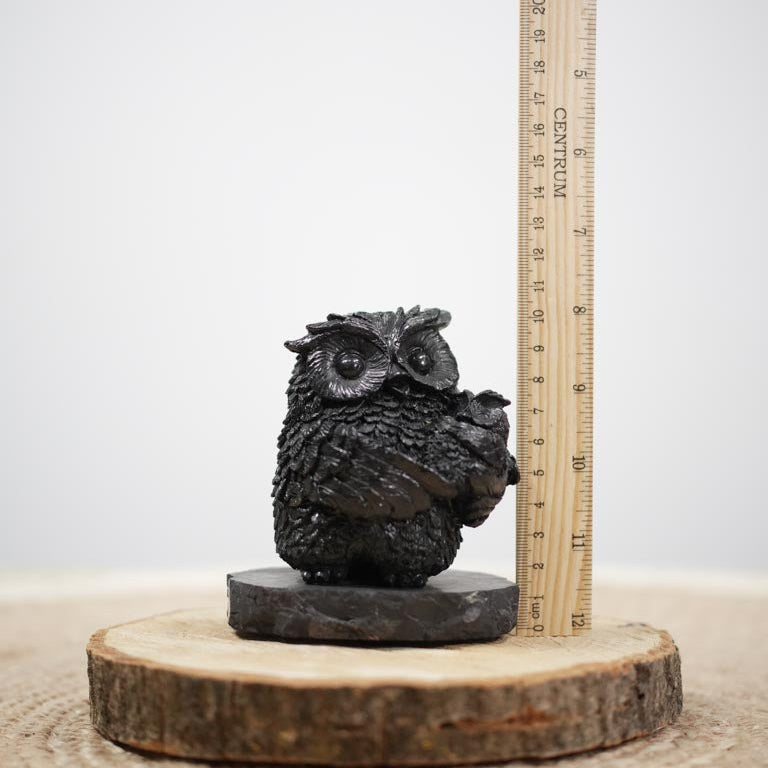Shungite Owl Figurine