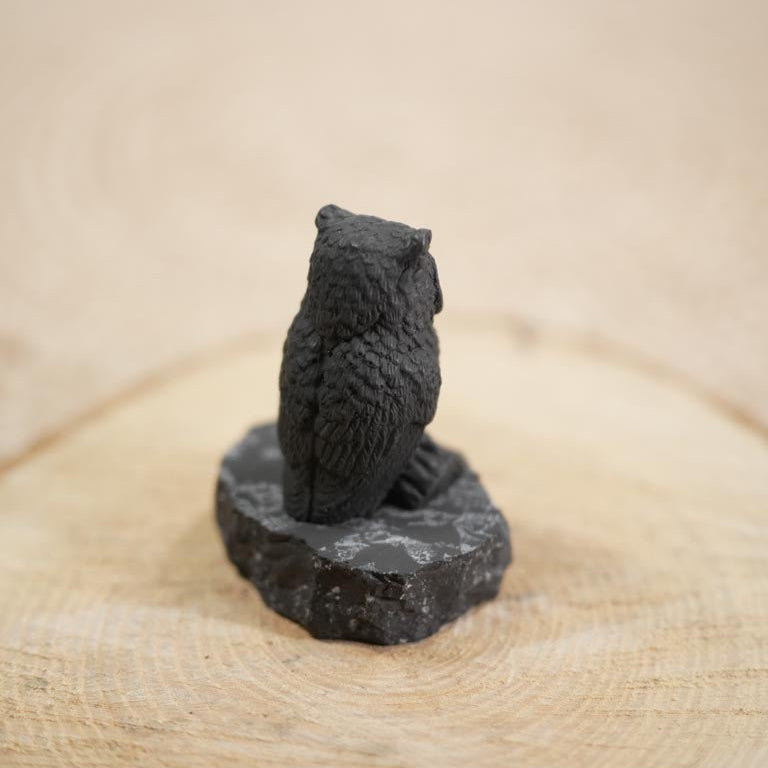 Shungite Owl Figurine