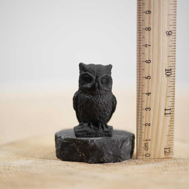 Shungite Owl Figurine